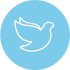 Residential Care